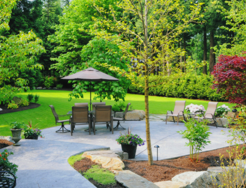 How Refinancing Can Help with Your Yard Makeover Spring 2022