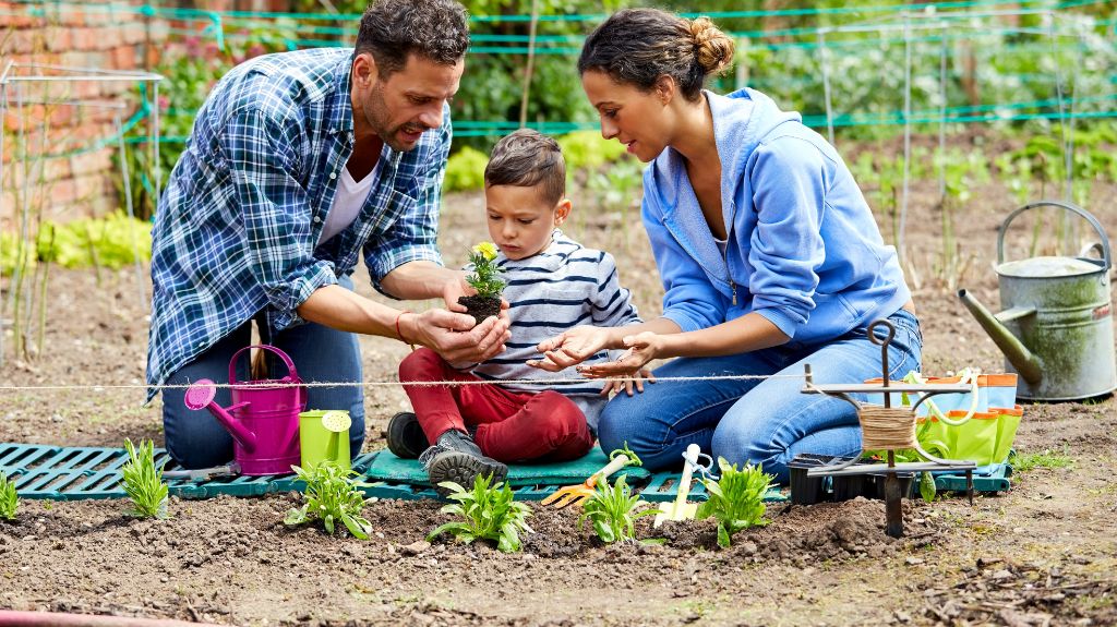 Plant a Garden