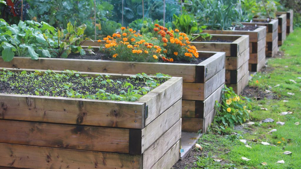 How to Build Raised Beds