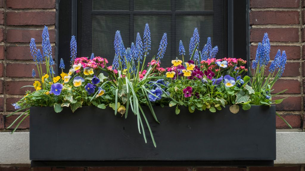 How to Build and Attach Window Boxes